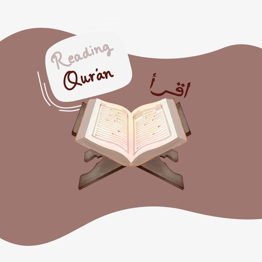 Cursus Vers per vers